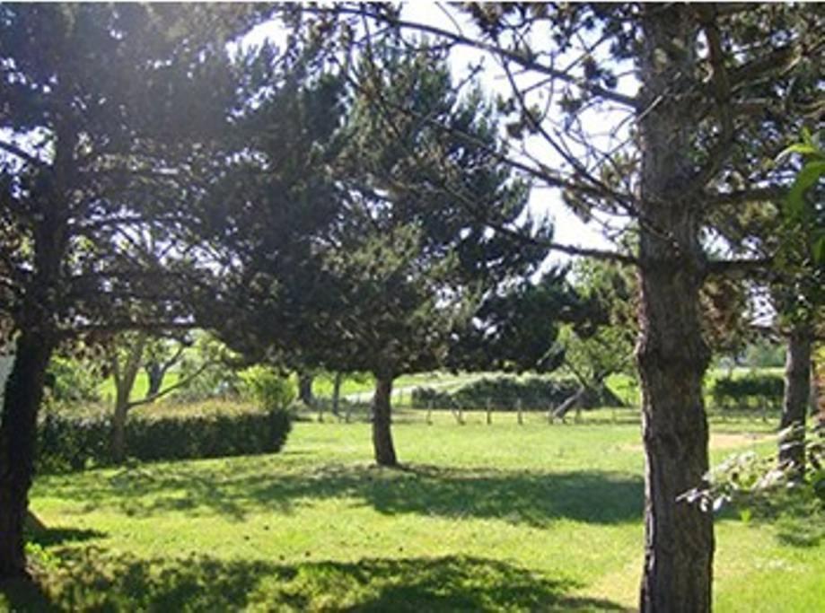Meursac Gites Chez Belliveau מראה חיצוני תמונה
