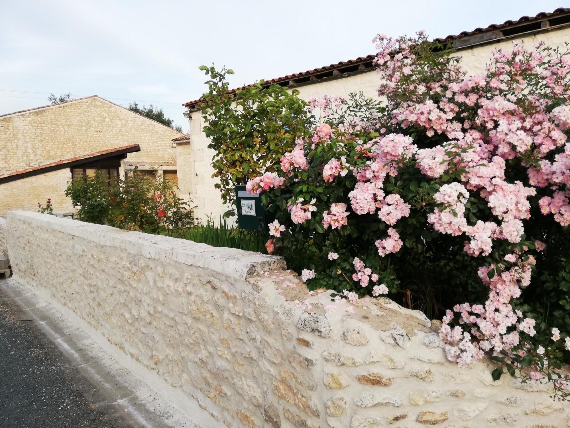 Meursac Gites Chez Belliveau מראה חיצוני תמונה