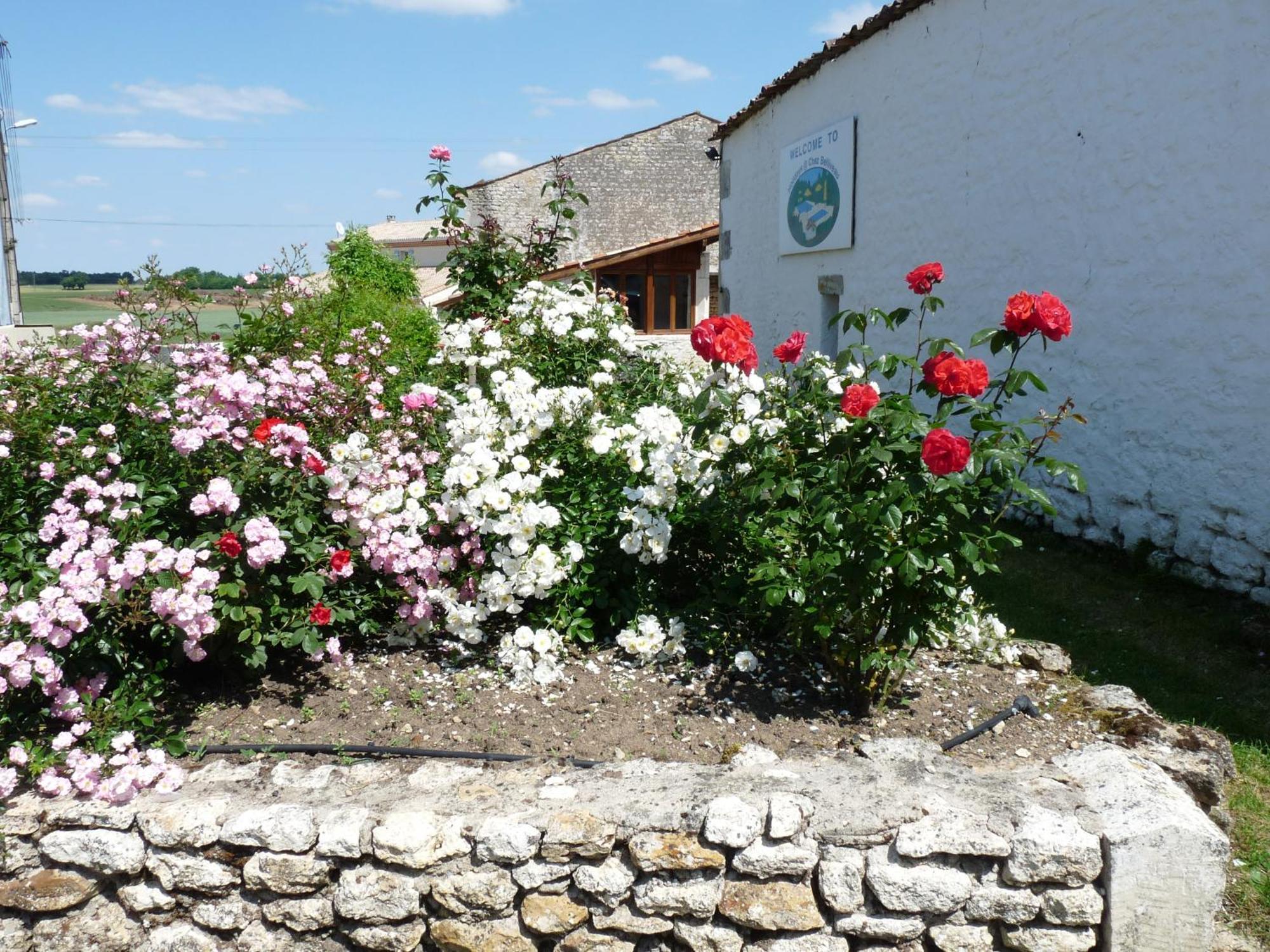 Meursac Gites Chez Belliveau מראה חיצוני תמונה