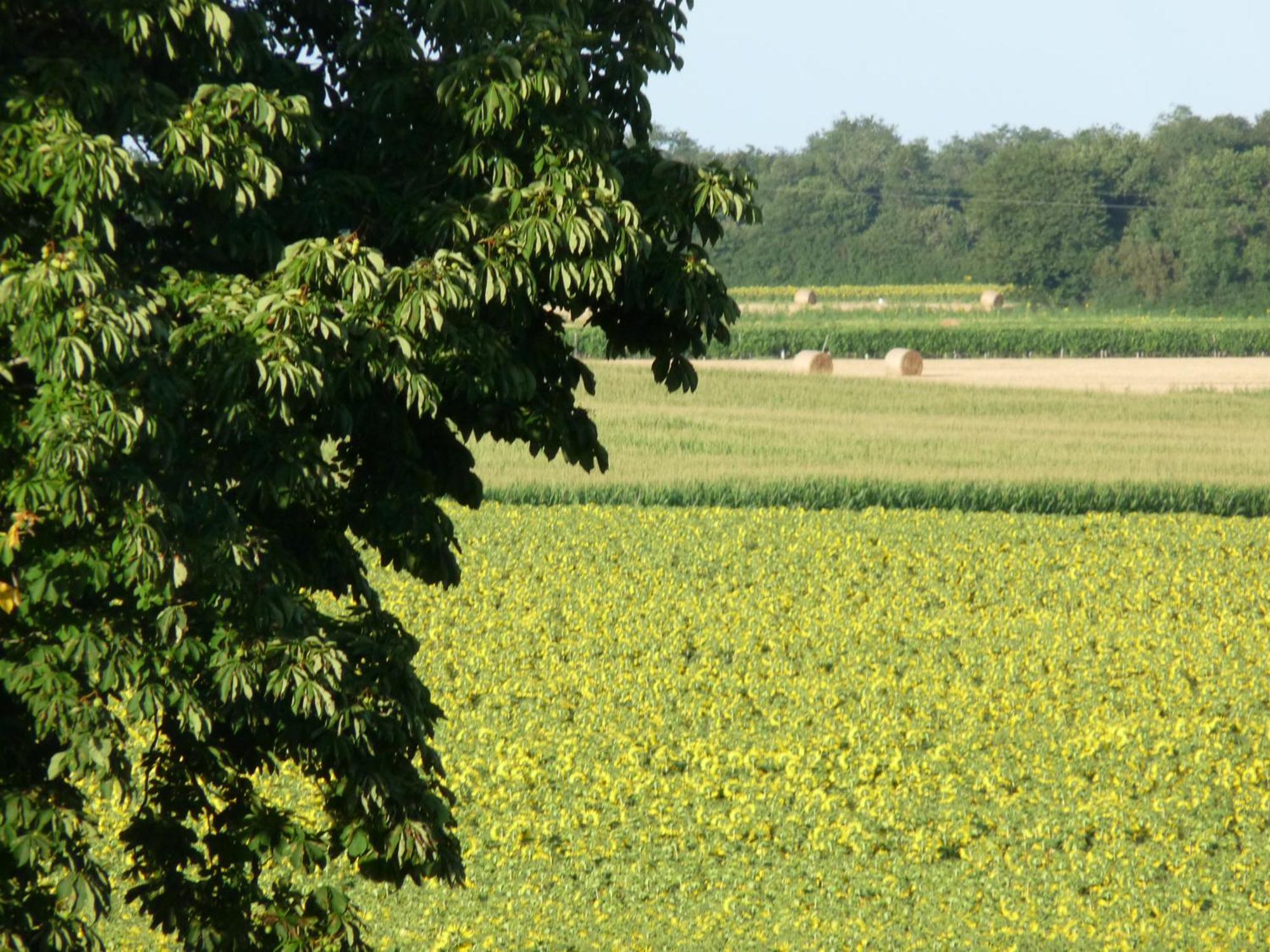 Meursac Gites Chez Belliveau מראה חיצוני תמונה