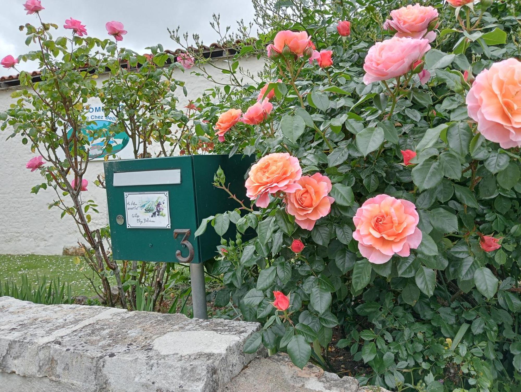 Meursac Gites Chez Belliveau מראה חיצוני תמונה